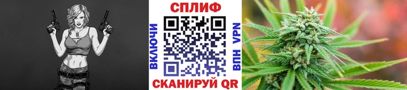 blacksprut   Дубовка  Каннабис Amnesia  где купить наркоту 